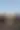 Joshua Tree ADU — Cam 04