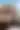 Sunset View — cam1 HQ daylight