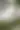 Mandeville — dji fly 20230511 092740 33 1683823776978 photo